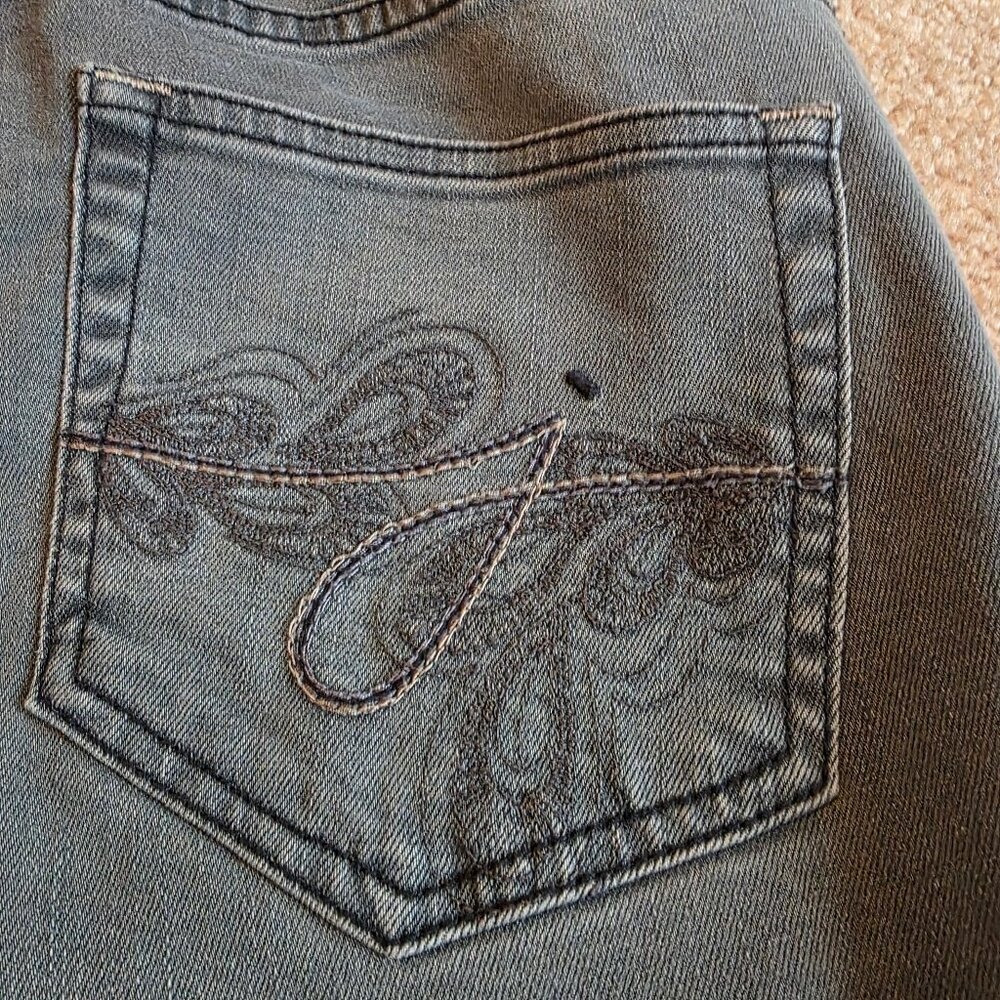 Jag Mid-Rise Skinny jeans, size 8 (women's)